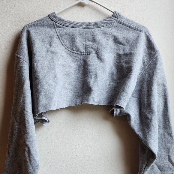 Champion Gray High Crop Long Sleeve Sweatshirt Size Large - Picture 13 of 14